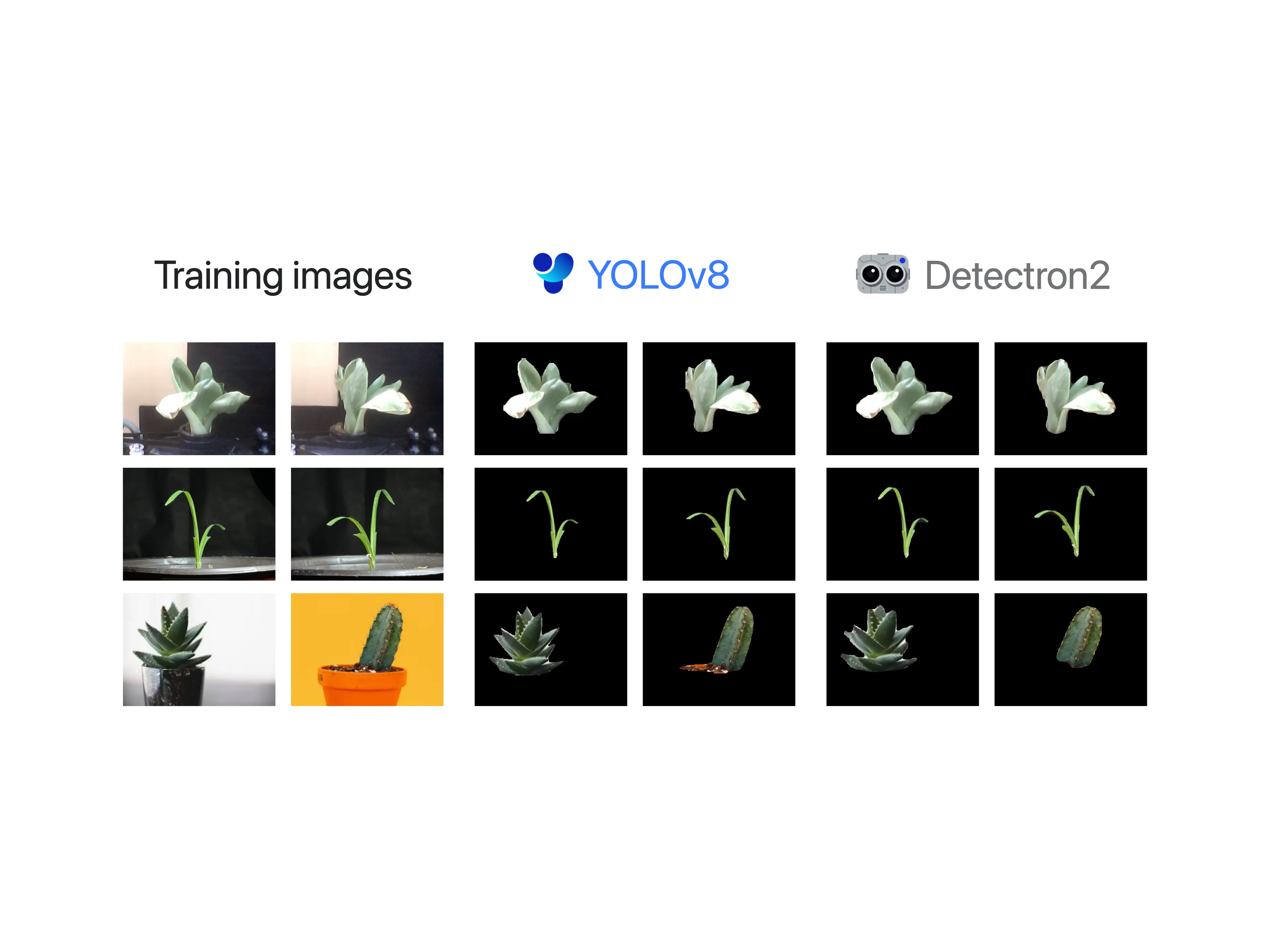 Comparing YOLOv8 and Detectron2 Architectures for Plant Class Segmentation Using Transfer Learning