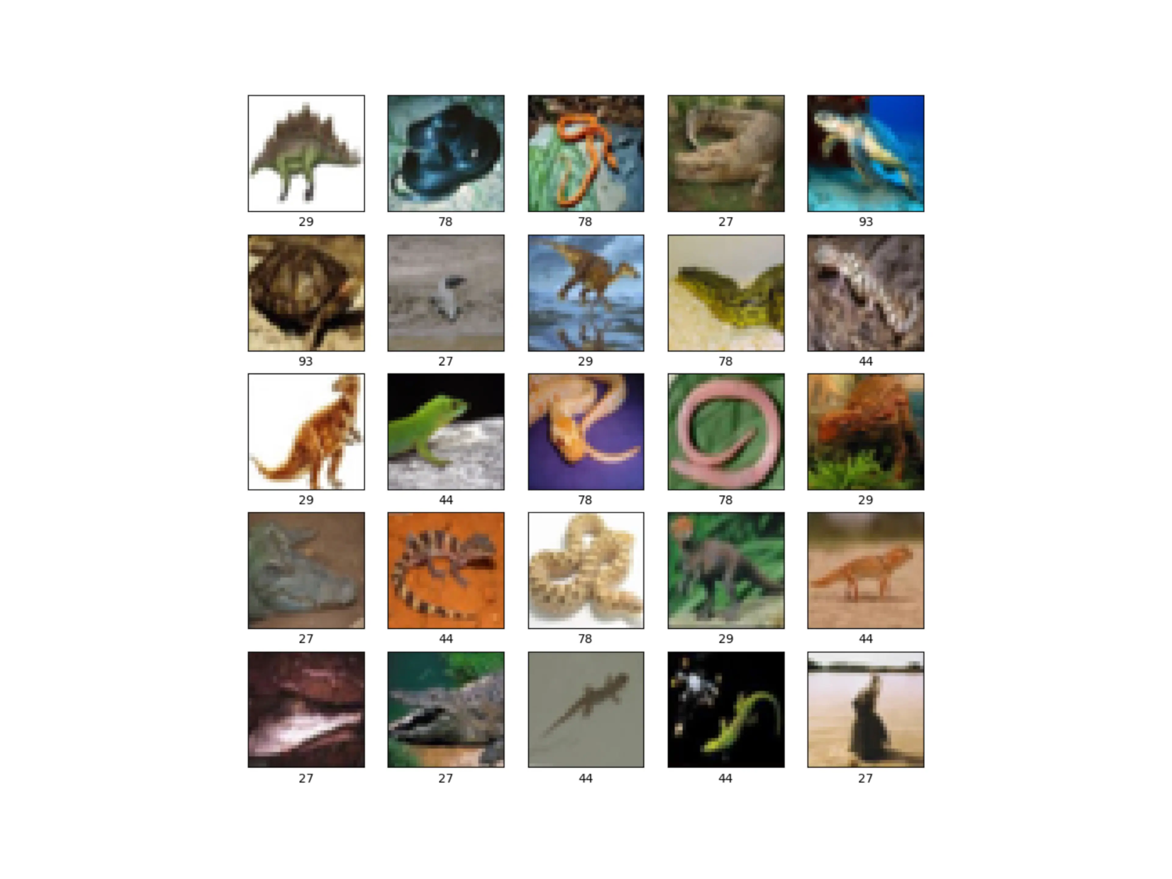 Identifying Reptile Types Using CIFAR-100 Dataset and Supervised Convolutional Neural Networks (CNNs)
